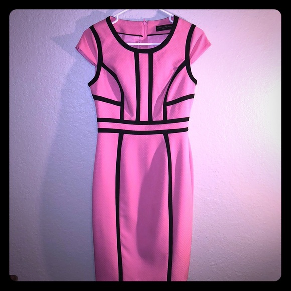 Dorothy Perkins Dresses & Skirts - Perfect for Spring pink and navy dress